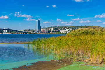 Fototapeta premium Beautiful Volga landscape - sandy beach with reeds opposite Saratov