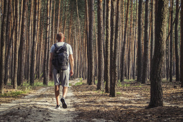 Fototapeta premium Traveler man walks with a backpack on a dirt road in a pine fore