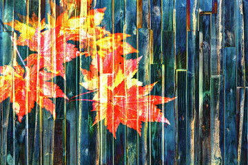 colorful maple tree leaves on wooden boards texture background with multi exposure effect
