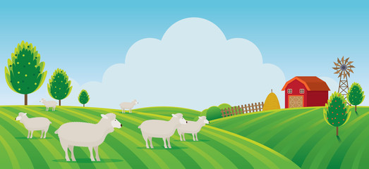 Sheep Farm on Hill Landscape Background