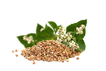 Buckwheat grains and green leaves isolated, superfood concept