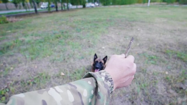 The dog performs a command to monitor his master's stick