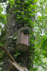 birdhouse on a green tree