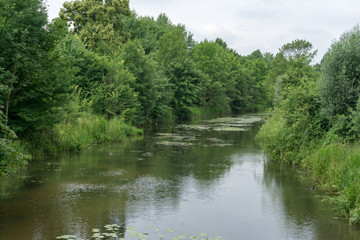 river flowing through green landscape