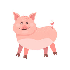 Funny Piggy symbol 2019 new year. The pig stands and smiles