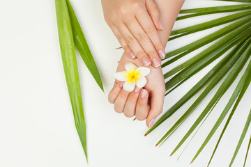 Spa manicure background with Beautiful female hands, flower and green leaves on white background