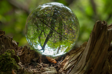 cristal ball reflection