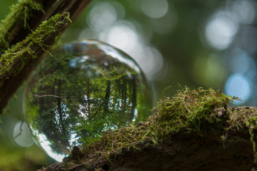 cristal ball reflection