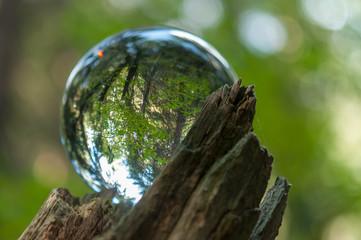 cristal ball reflection