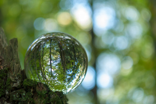 Cristal Ball Reflection