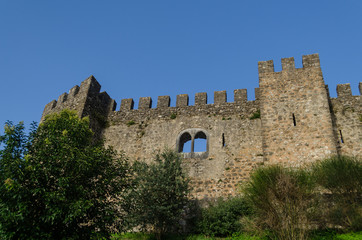Fototapeta na wymiar Castillo de Pombal, Portugal.