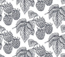 Vector seamless pattern with hand drawn raspberries in sketch style.
