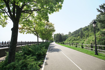 Asphalt road in park on sunny day