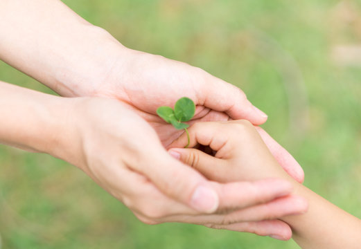エコロジー　愛　誕生　平和　