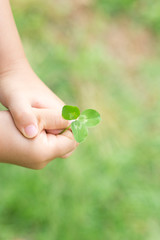 エコロジー　愛　誕生　平和　