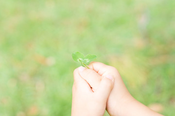 エコロジー　愛　誕生　平和　