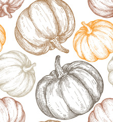 Vector hand drawn sketched pumpkin seamless pattern