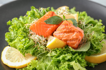 Healthy fresh salad with salmon on plate, closeup