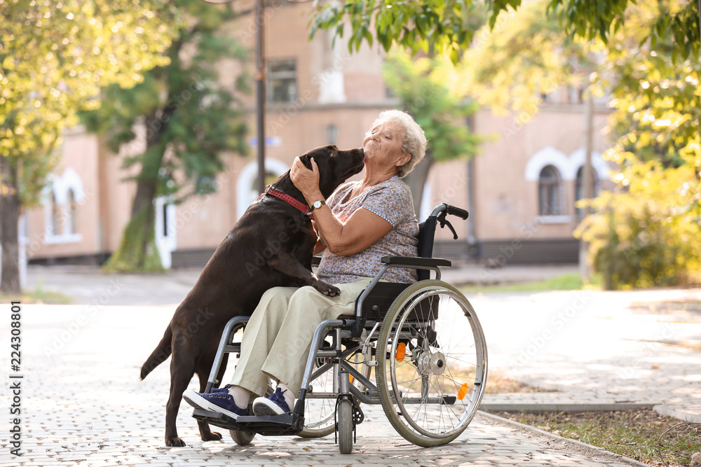 Poster senior woman in wheelchair and her dog outdoors