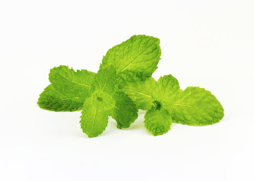 Close up of fresh pepermint isolated on white background