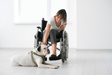 Young woman in wheelchair with service dog indoors