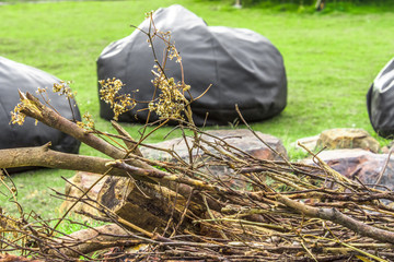 Close up bonfire with wood and stone.