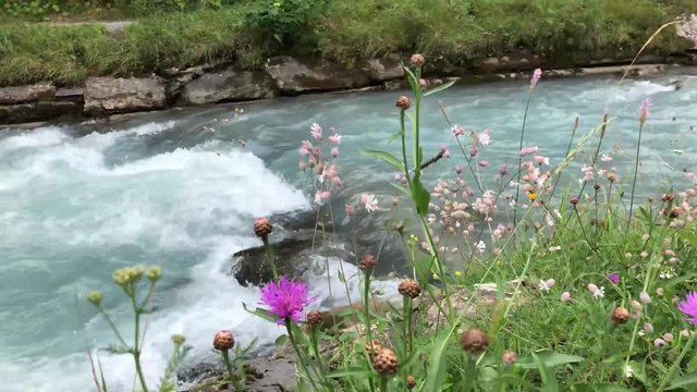 Rapids in the Reichenbach in Switzerland