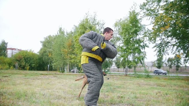 Training sheepdog on attacking. The man wearing protection