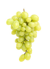Ripe sweet grapes on white background