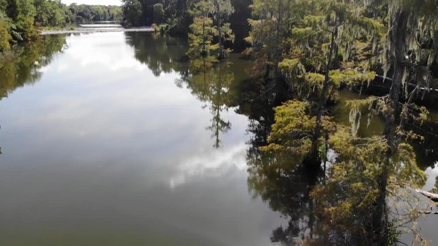 Drone footage of trees in the San Jacinto River near Houston, Texas