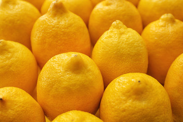 Ripe juicy lemons, closeup