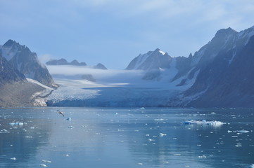 Fototapeta na wymiar Gletscher im Fjord