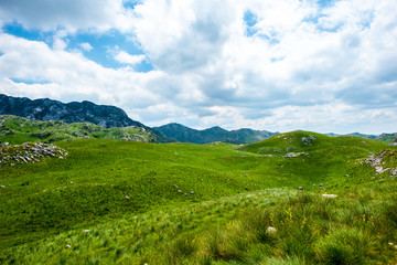 green grass, mountains and cloudy sky in Durmitor massif, Montenegro
