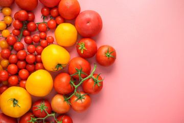 Composition with different types of tomatoes on color background