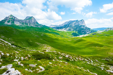 green valley with stones and mountain range in Durmitor massif, Montenegro