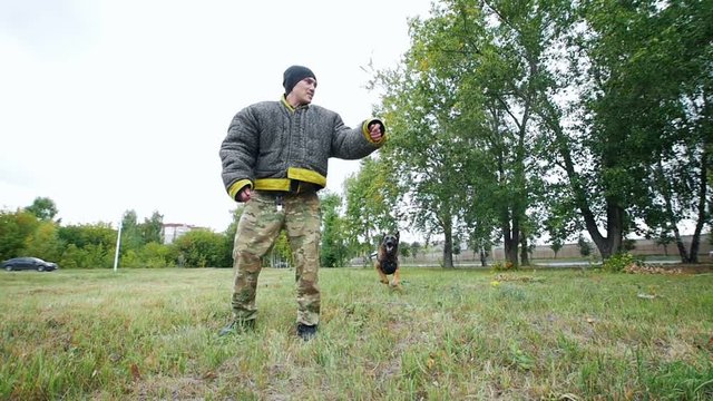 A man trains his dog to execute jump command and bite his hand