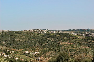 Green mountains with settlements near Jerusalem, Israel - obrazy, fototapety, plakaty