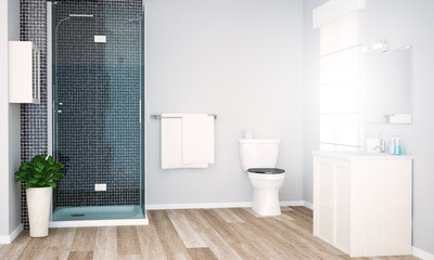 Fototapeta na wymiar grey bathroom with shower