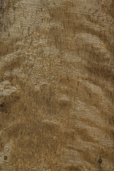 Wooden texture. Close-up, Background