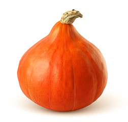 Potimarron vectoriel 1