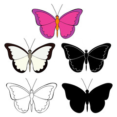 isolated, butterfly set, sketch, silhouette