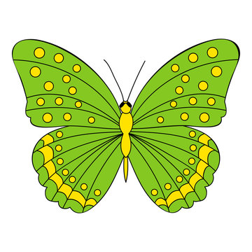 isolated, character butterfly, cartoon