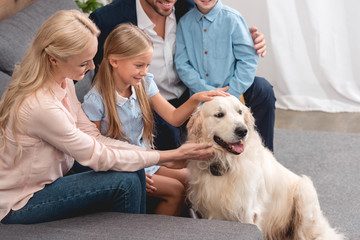 cropped shot of young family playing with dog while sitting on couch at home