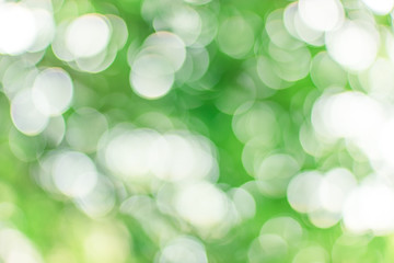 Sunshine green and white bokeh background