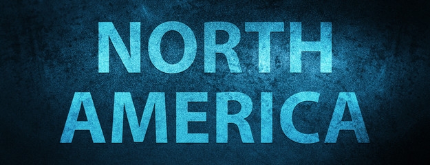 North America special blue banner background