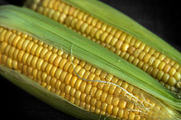 Corns