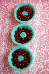 Früchte der Ölweide 15