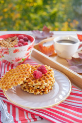 still life: waffles with raspberries, a cup of coffee or chicory and a bowl of granola for breakfast surrounded by maple leaves