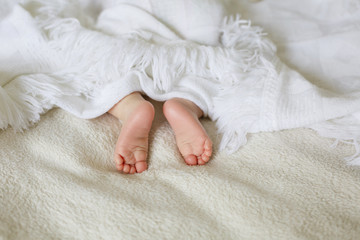 Portrait of cute feet of sleeping newborn baby in light bedroom. Family, motherhood, love, health and care