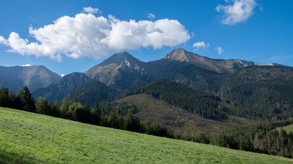 Obraz premium stradnica 01